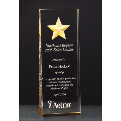 Constellation Gold Star Acrylic Award