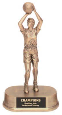 Basketball Push Shot Resin