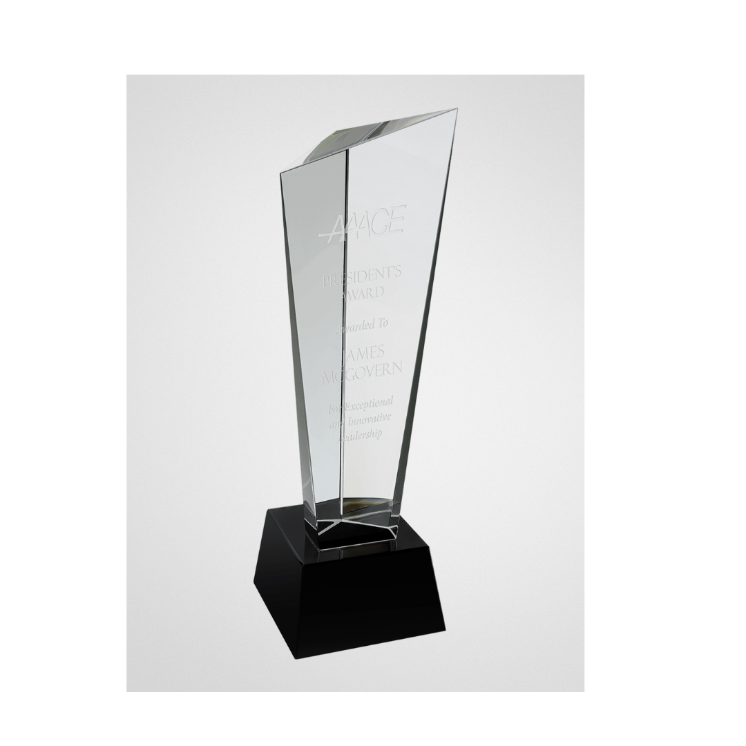 Crystal 3D Rising Peak Award